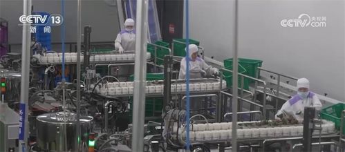 口味升級(jí) 跨界 上新 海外 出圈 舌尖上的 端午經(jīng)濟(jì) 釋放消費(fèi)活力